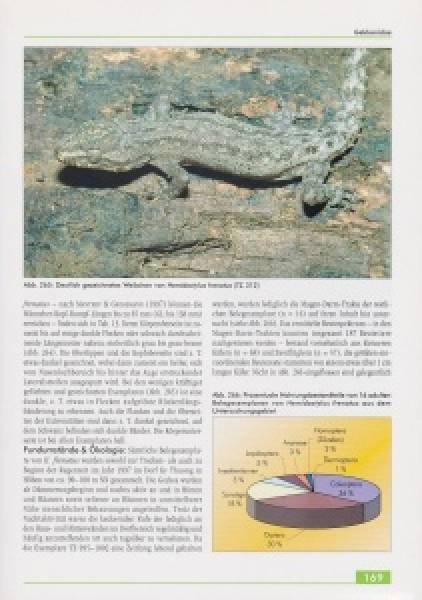 Die Amphibien und Reptilien eines Tieflandfeuchtwald-Schutzgebietes in Vietnam